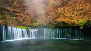 Shiraito Falls in Autumn, Karuizawa, Nagano