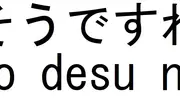 Meanings and uses of the Japanese phrase "so desu ne"